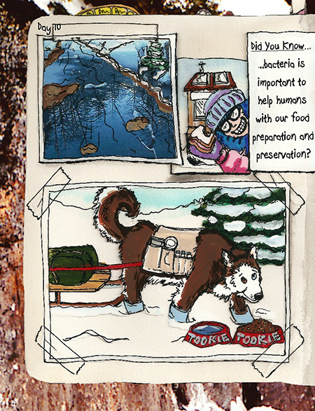 cartoon drawings of professor blue smiling while holding her sandwich, and another panel with her dog Tookie fitted with a sled and harness stopping to eat his lunch out on a winter day